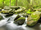 Roaring Fork River  Great Smoky Mountains National Park  Tennessee  Usa