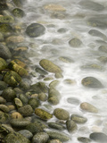 Surf on Stone Beach  Point Lobos State Reserve  California  Usa