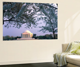 Jefferson Memorial and Cherry Blossoms at Sunrise  Tidal Basin  Washington Dc  Usa