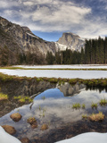 Half Dome Reflected in Snow Melt  Yosemite National Park  California  Usa