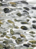 Surf on Stone Beach  Point Lobos State Reserve  California  Usa