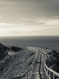 Muir Beach Overlook  Golden Gate National Recreation Area  San Francisco Bay Area  California  Usa