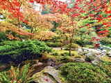 Fall Color in Seattle's Japanese Garden in the Arboretum  Seattle  Washington  Usa