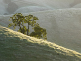 Mt Diablo State Park  California  Usa