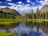 Beaver Pond in Two Medicine Valley  Glacier National Park  Montana  Usa