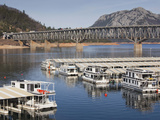 Houseboats on Shasta Lake  Whiskeytown-Shasta-Trinity National Recreation Area  California  Usa