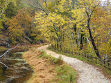 Fall Color Along the Old C and O Canal  C and O National Historic Park  Maryland  Usa