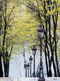 Autumn  Rue De Foyatier Steps to the Place Du Sacre Coeur  Montmartre  Paris  France