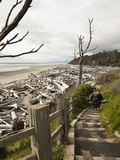 Beautiful Beach Area at Kalaloch Lodge on the Olympic Coast  Washington  Usa
