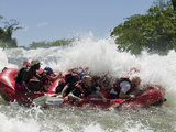 Whitewater Rafters Paddles over Bujagali Falls on Nile River  Lake Victoria  Jinja  Uganda