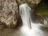 Stream of Water Flowing into the Ocean  Fourth Beach on the Olympic Peninsula  Washington  Usa