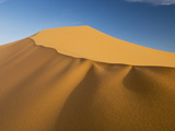 Coral Pink Sand Dunes State Park  Utah  Usa