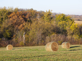 Hay Bales  Dubuque County  Iowa  Usa