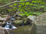 Jordan Stream in Acadia National Park  Maine  Usa