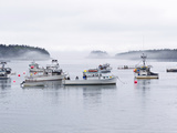 Lobster and Fishing Boats at Cutler  Maine  Usa