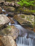 Jordan Stream in Acadia National Park  Maine  Usa