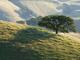 Mt Diablo State Park  California  Usa