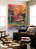 Autumn in the Adirondack Mountains  New York  Usa