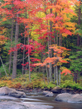 Autumn in the Adirondack Mountains  New York  Usa