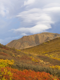 Lenticular Clouds over the Alaska Range and Colorful Fall Tundra