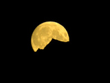 Full Golden Moon Above Rugged Alaska Range in Night Sky