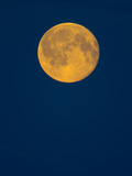 Rising Big Full Moon in a Dark Blue Sky in Autumn