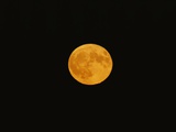 The Full Harvest Moon