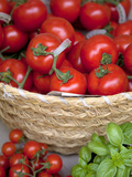 Sicily  Italy  Western Europe  Tomatoes and Basil  Staple Items in the Southern Italian Kitchen