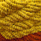 A Close Up of Fresh Marigold Garlands at the Busy Mullik Ghat Flower Market Near Howrah Bridge
