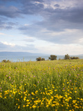 Israel  the Galilee  Tiberias  Sea of Galilee-Lake Tiberias