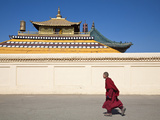 Mongolia  Ulaanbaatar  Monk at Gandan (Gandantegchenling) Monastery 