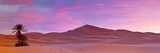 Merzouga  Sahara Desert  Morocco
