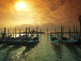 Venice  Veneto  Italy  Gondolas Tied at the Bacino Di San Marco