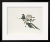 Woman Feeding Pigeons