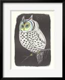 Lummon Owl