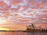 Australia  New South Wales  Sydney  Sydney Opera House  Boat in Harbour at Sunrise