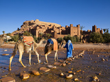 Camel Driver  Ait Benhaddou  Atlas Mountains  Morocco  Mr