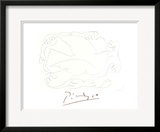 Etudes De Mains Et Colombe