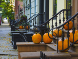 USA  New York  Brooklyn  Brooklyn Heights  Halloween Pumpkins