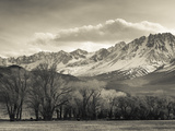 USA  California  Eastern Sierra Nevada Area  Bishop  Landscape of the Pleasant Valey