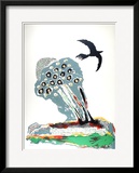 Black Bird
