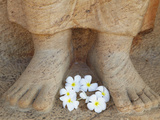 Frangipani Flowers at Feet of Statue of Parakramabahu  Southern Ruins  Polonnaruwa (UNESCO World He