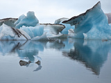 Large Blocks of Ice Floating on Jokulsarlon Lagoon  Blocks Break Off from the 30-Metres-High Edge o