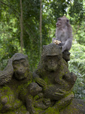 Bali  Ubud  a Macaque Sitting on a Stone Carving of a Macaque