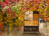 France  Midi-Pyrenees Region  Tarn Department  Cordes-Sur-Ciel  Gate with Autumn Foliage