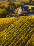 France  Aquitaine Region  Gironde Department  St-Emilion  Wine Town  Unesco-Listed Vineyards