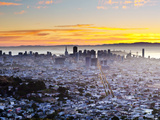 City Skyline Viewed from Twin Peaks  San Francisco  California  USA