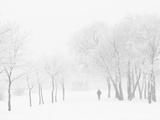 Winter  Saint Petersburg  Russia