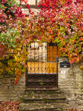 France  Midi-Pyrenees Region  Tarn Department  Cordes-Sur-Ciel  Gate with Autumn Foliage
