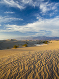 USA  California  Death Valley National Park  Mesquite Flat Sand Dunes